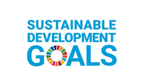 UN Sustainable Development Goals